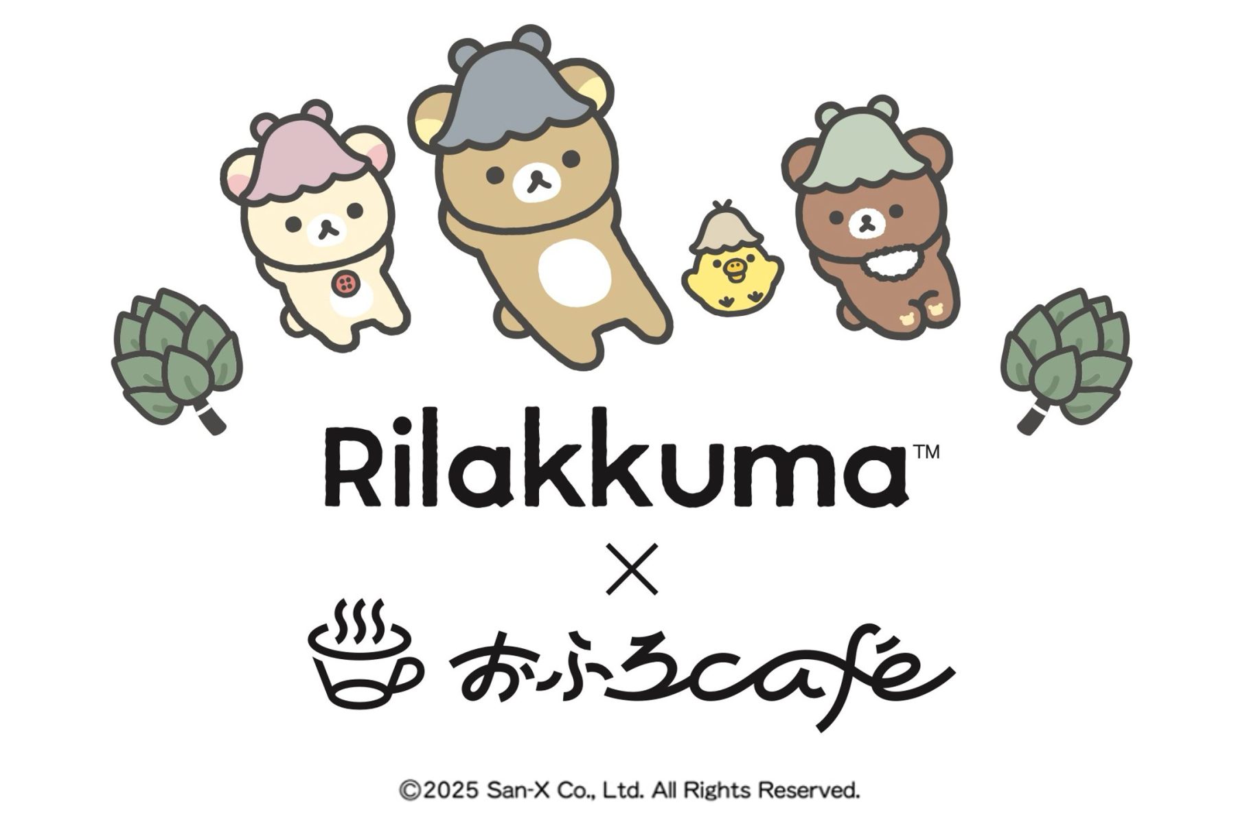 018fc3f5b2f19eec14df4a0ca84b05